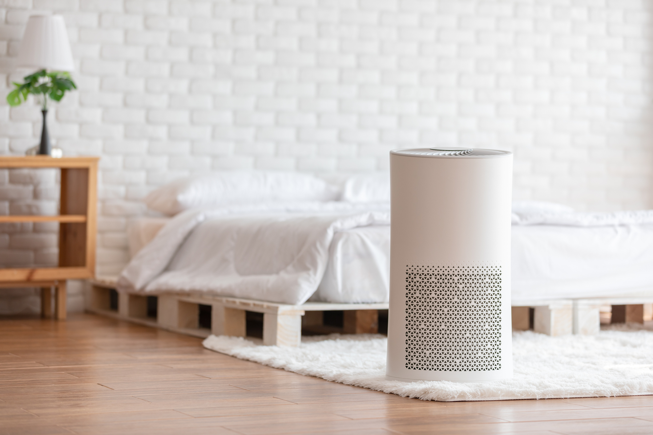 Air purifier in cozy white bed room for filter and cleaning removing dust PM2.5 HEPA in home,for fresh air and healthy life,Air Pollution Concept Air purifier in cozy white bed room for filter and cleaning removing dust PM2.5 HEPA in home,for fresh air and healthy life,Air Pollution Concept