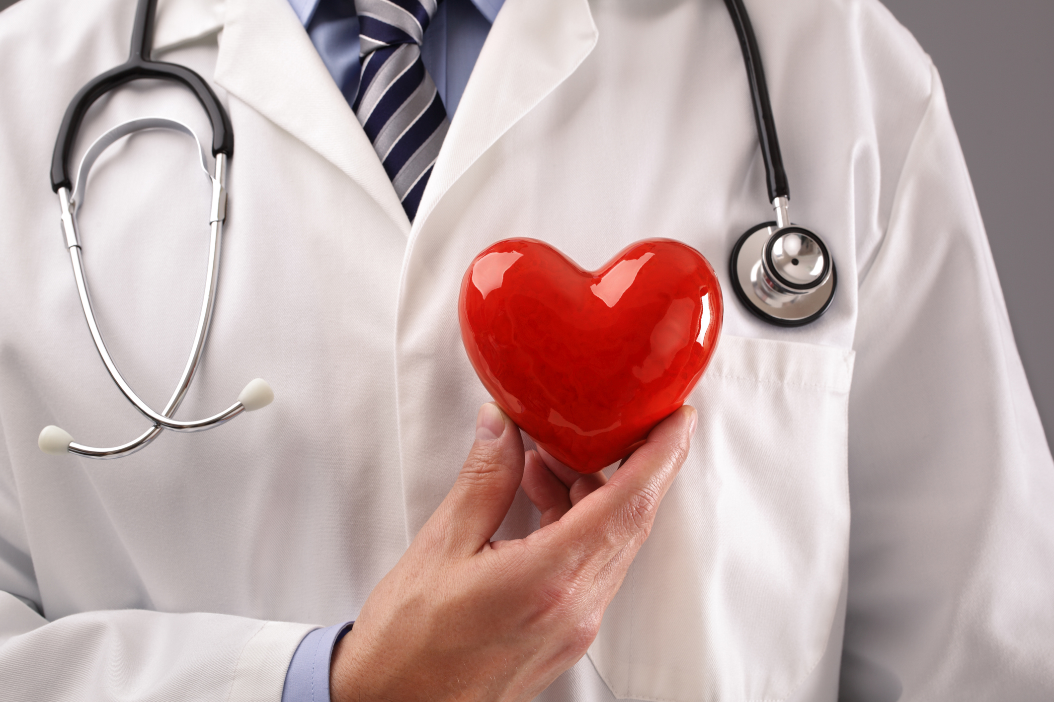 Doctor holding heart against chest Doctor or cardiologist holding heart against chest concept for healthcare and diagnosis medical cardiac pulse test